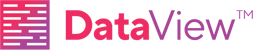DataView Logo 2 DataView Logo 2